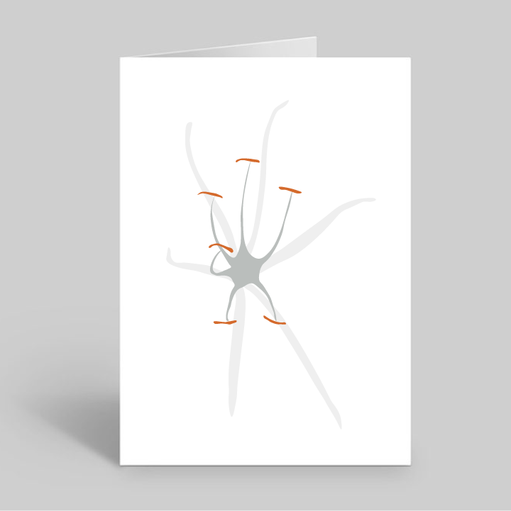 White Lily Greeting Card with Envelope (Lirio Blanco)