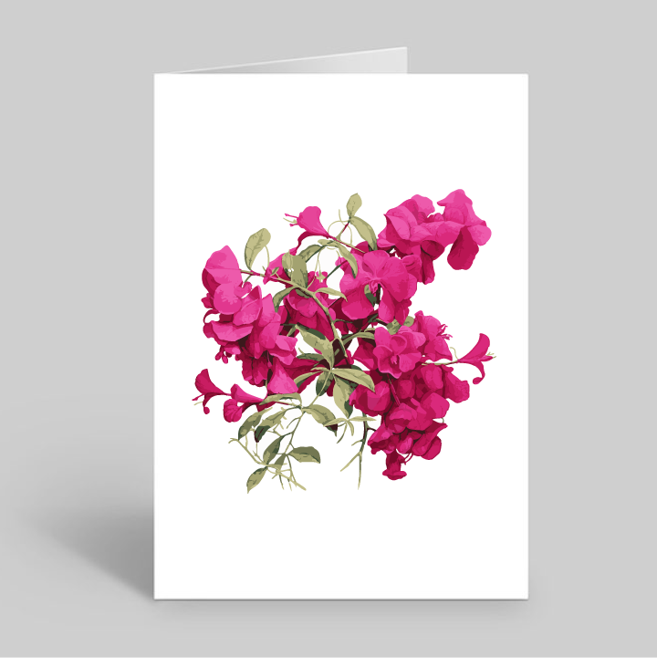 Boungainvillea Trinitaria Greeting Card with Envelope