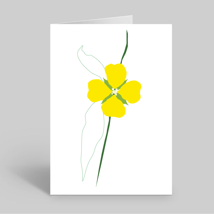 Mexican Primrose-Willow Flower Greeting Card with Envelope