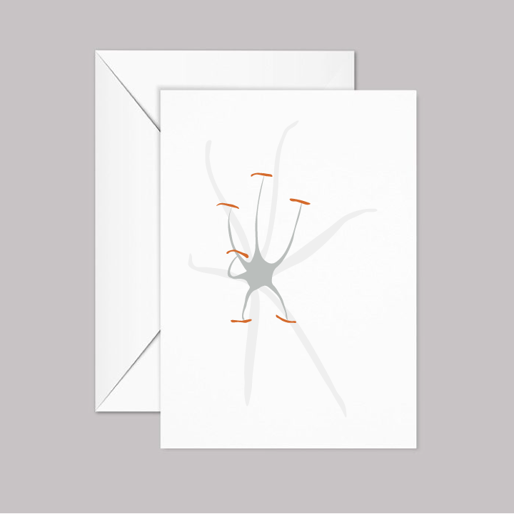 White Lily Greeting Card with Envelope (Lirio Blanco)