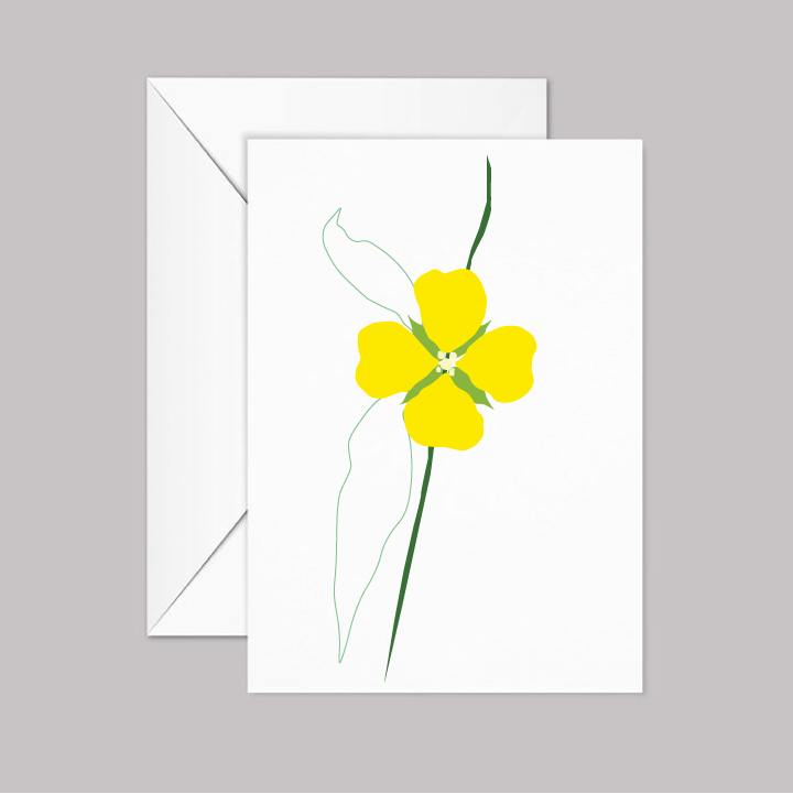 Mexican Primrose-Willow Flower Greeting Card with Envelope