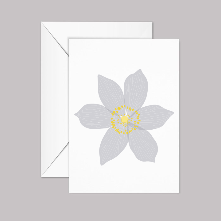 Prairie Pasqueflower Greeting Card