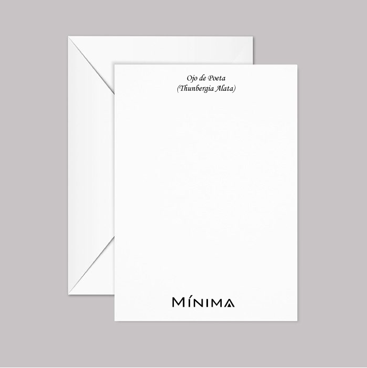 Black-Eyes Susan Flower Greeting Card with Envelope (Ojo de Poeta)