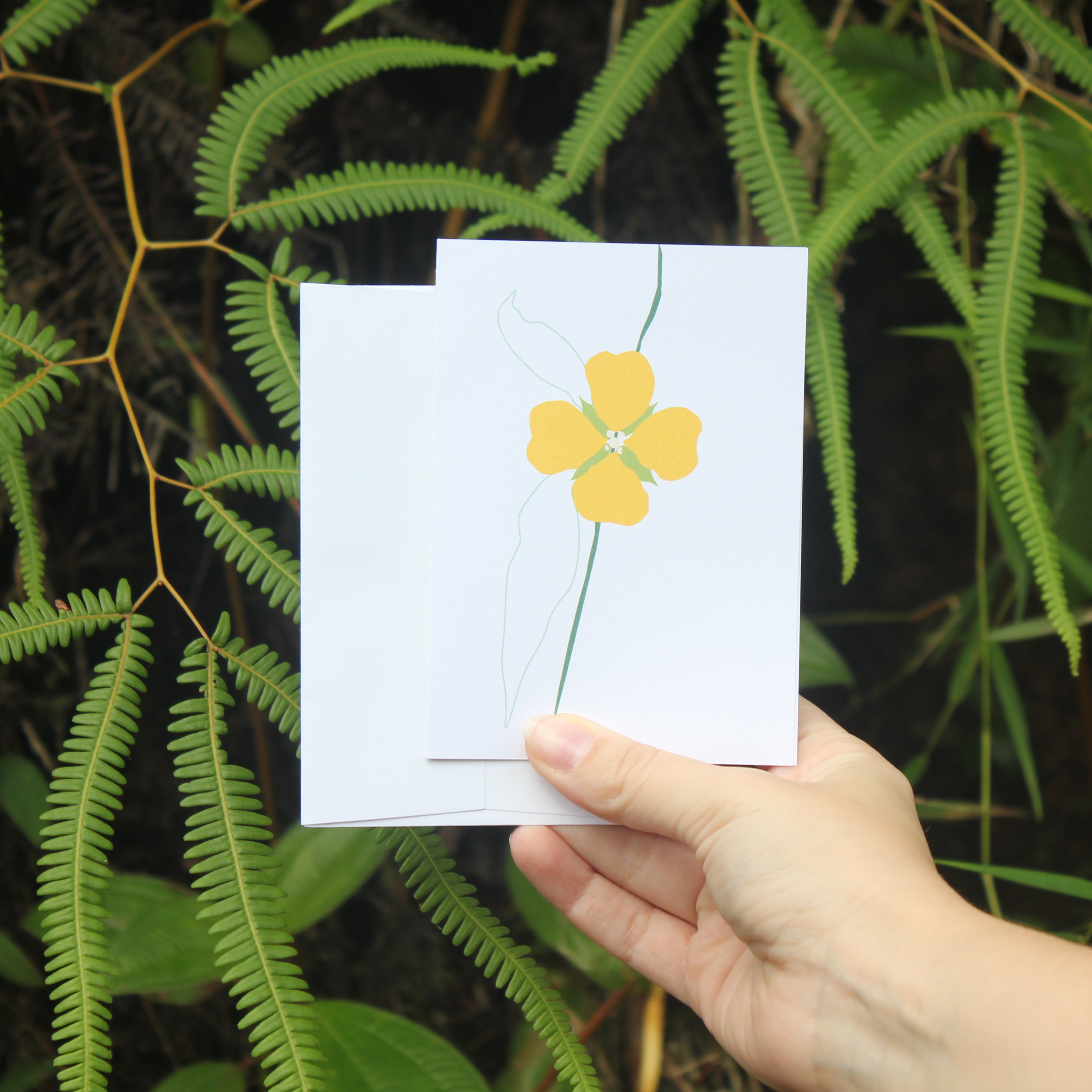 Mexican Primrose-Willow Flower Greeting Card with Envelope