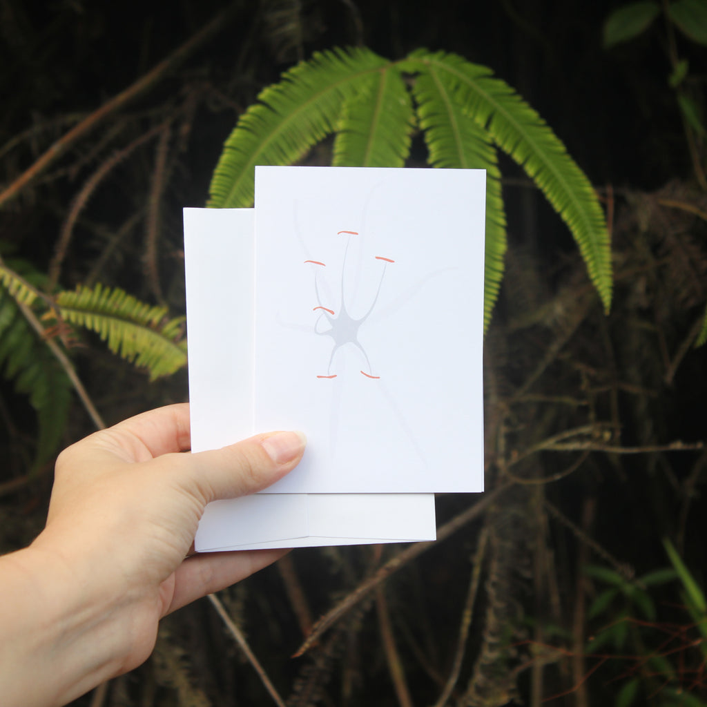 White Lily Greeting Card with Envelope (Lirio Blanco)