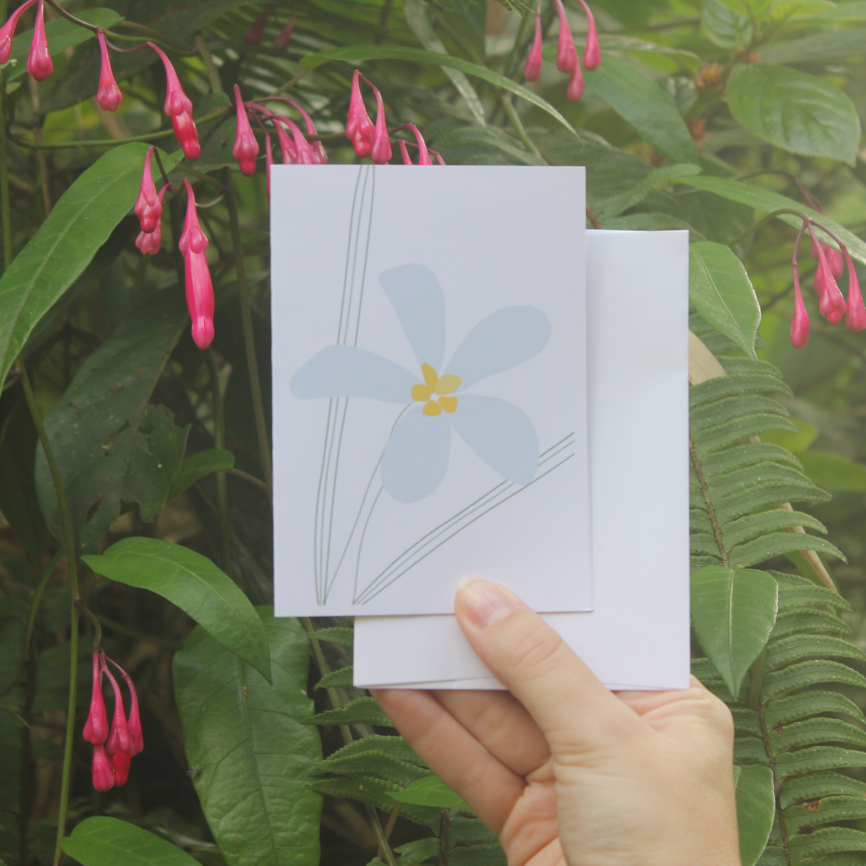 Plumeria Greeting Card