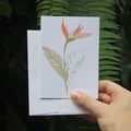 Bird of Paradise Greeting Card with Envelope